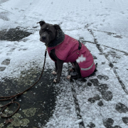 WhatsApp Image 2026-02-09 at 19.45.01 (1)