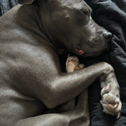 WhatsApp Image 2026-02-09 at 19.45.01