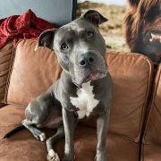 WhatsApp Image 2026-02-09 at 19.45.01 (2)