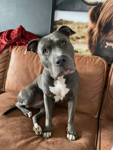 WhatsApp Image 2026-02-09 at 19.45.01 (2)