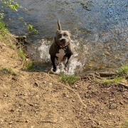 WhatsApp Image 2026-02-09 at 19.45.01 (3)